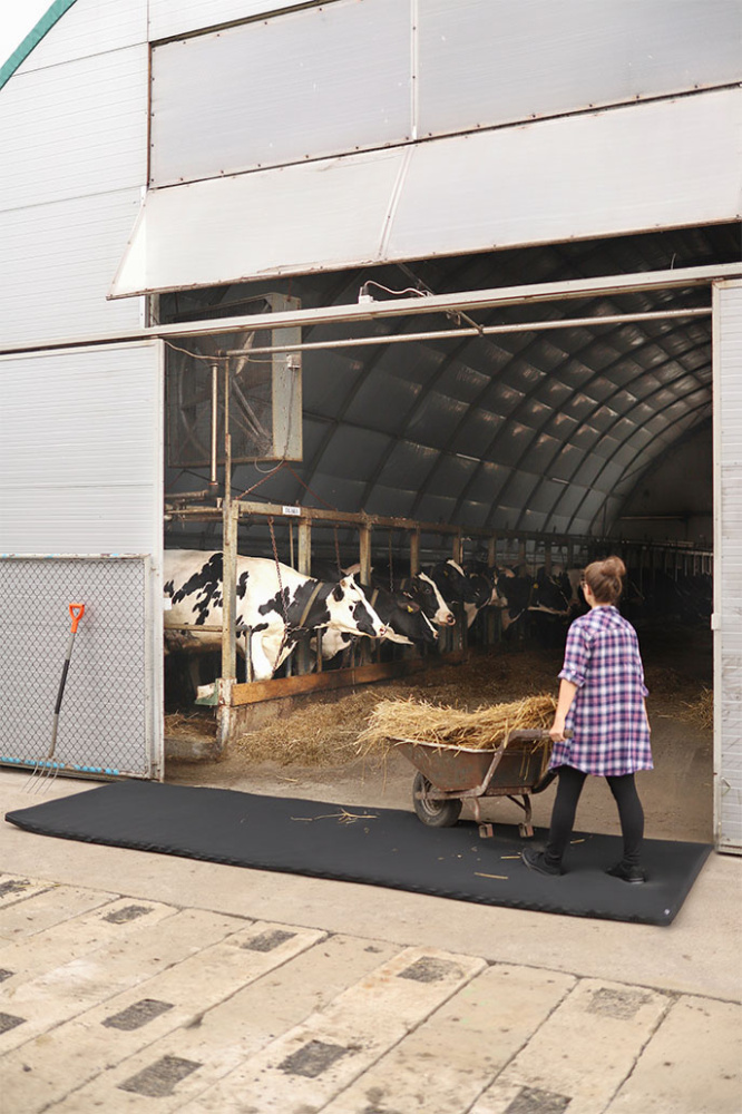 Logotrade Logogeschenke das Foto: Cross-over-Desinfektionsmatte 120x500x4cm 1366087