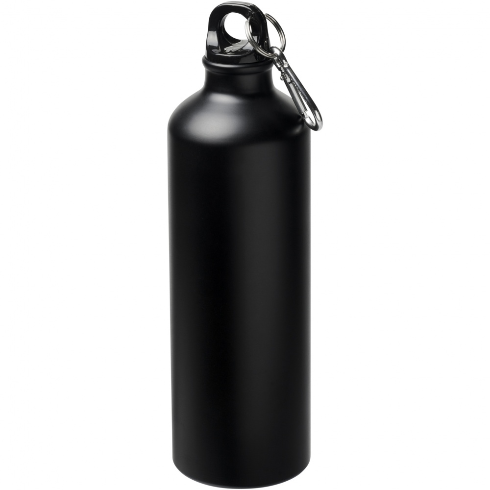 Logotrade promotional item picture of: Oregon 770 ml matte water bottle with carabiner