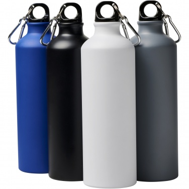 Logo trade promotional giveaway photo of: Oregon 770 ml matte water bottle with carabiner