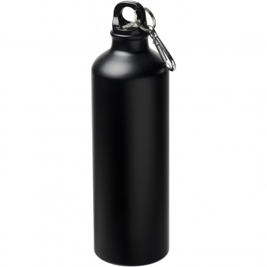Logo trade promotional merchandise picture of: Oregon 770 ml matte water bottle with carabiner