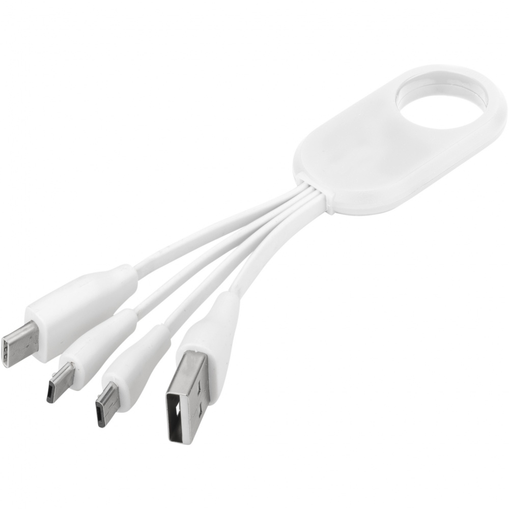 Logo trade corporate gifts picture of: Troup 4-in-1 charging cable with type-C tip