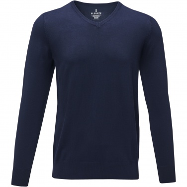 Logotrade promotional merchandise picture of: Stanton men's v-neck pullover