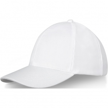 Logotrade promotional products photo of: Drake 6 panel trucker cap