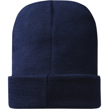 Logotrade business gift image of: Hale Polylana® beanie