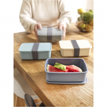 Logotrade corporate gift image of: Dovi recycled plastic lunch box