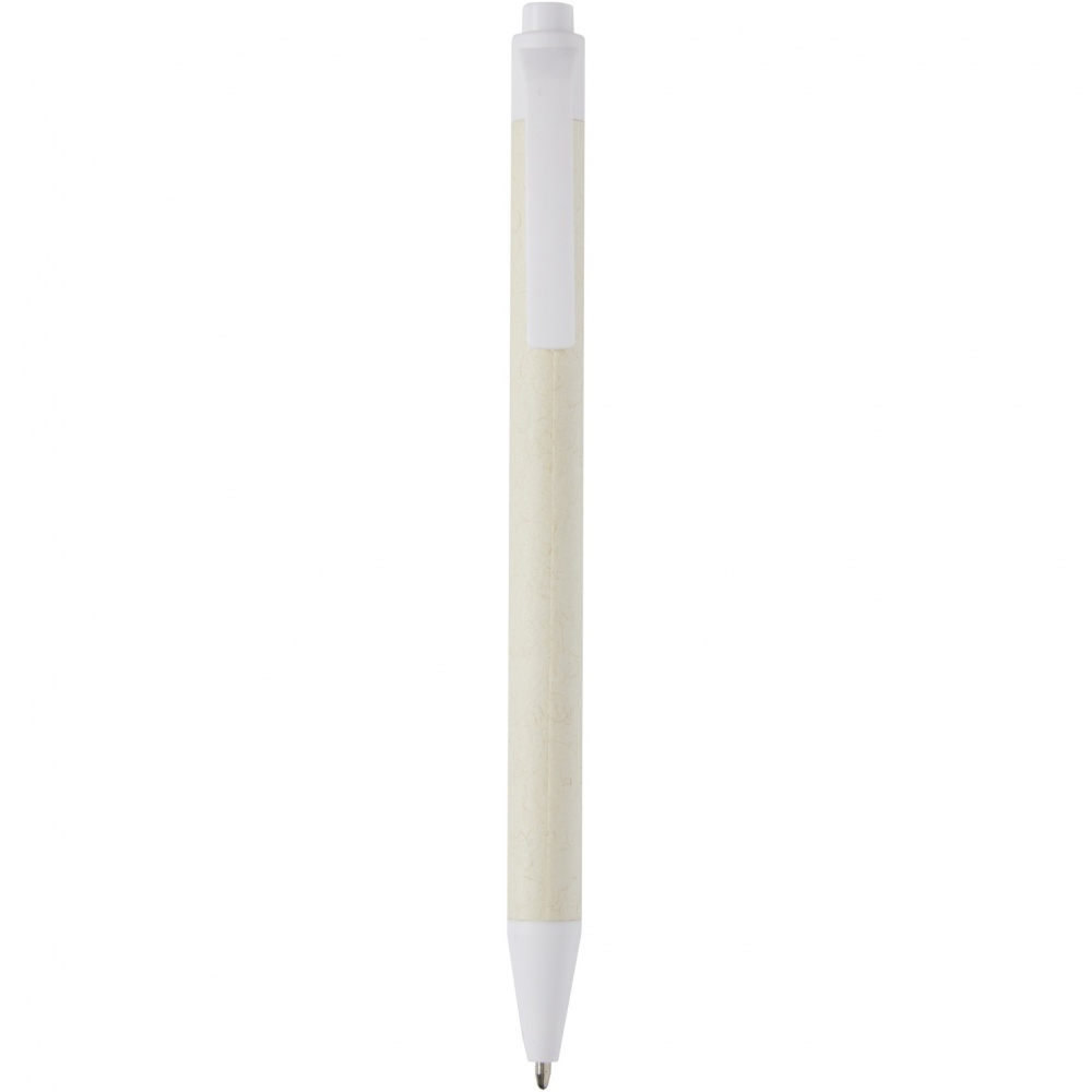 Logotrade promotional merchandise image of: Dairy Dream recycled milk cartons ballpoint pen