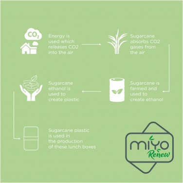 Logotrade promotional item picture of: MIYO Renew double layer lunch box