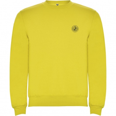 Logotrade promotional giveaway image of: Clasica kids crewneck sweater