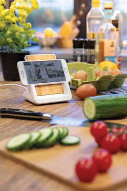 Logo trade promotional giveaways image of: Ontario  RCS recycled plastic 10W stand