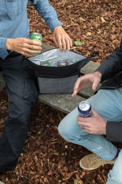 Logotrade promotional item image of: Two tone cooler bag