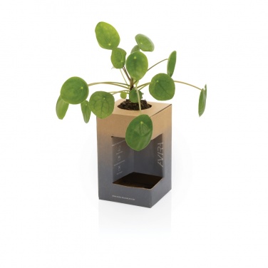 Logotrade promotional product picture of: Avira Alya RCS Re-steel tumbler 300 ml