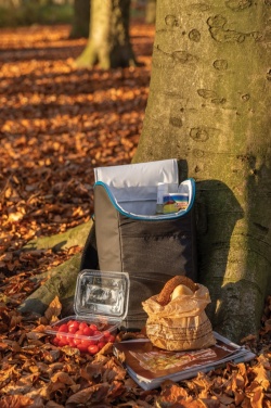 Logo trade promotional merchandise image of: Explorer outdoor cooler backpack