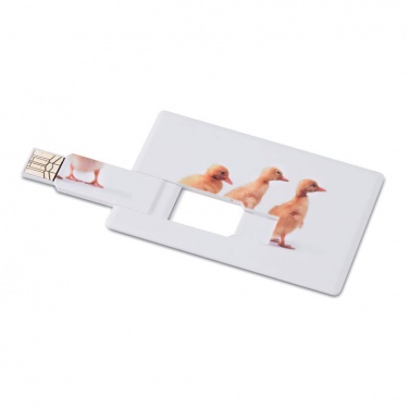 Logotrade promotional giveaway image of: Creditcard. USB flash 32GB