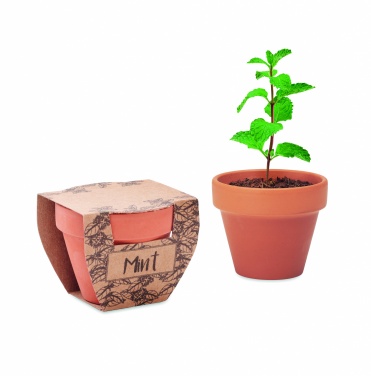 Logotrade promotional merchandise photo of: Terracotta pot mint seeds