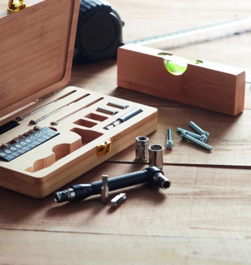 Logo trade promotional gifts picture of: 21 pcs tool set in bamboo case