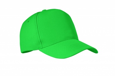 Logo trade promotional giveaway photo of: RPET 5 panel baseball cap