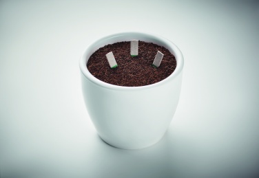 Logotrade promotional giveaway image of: Herb seeds sticks