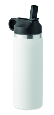Logotrade corporate gifts photo of: Double wall bottle 500 ml