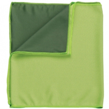 Logotrade promotional giveaway image of: Towel LANAO Schwarzwolf