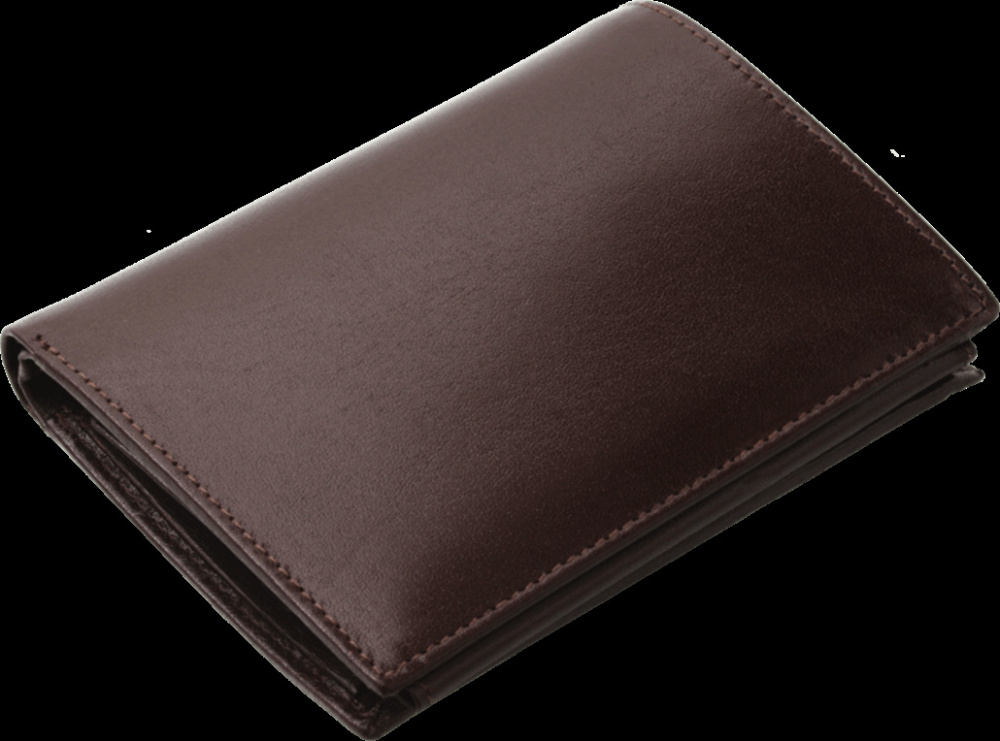 Logotrade promotional merchandise image of: Wallet 31801300