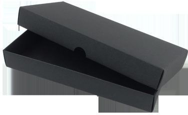 Logo trade promotional product photo of: Pen case 236019