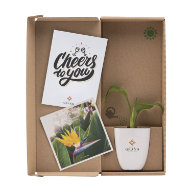 Logo trade promotional item photo of: Treemore Letterbox Trees Bird of Paradise plant