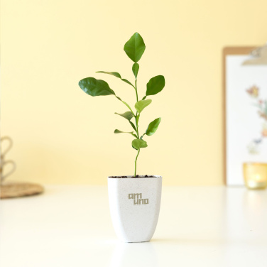 Logotrade promotional products photo of: Treemore Letterbox Trees Kaffir Lemon