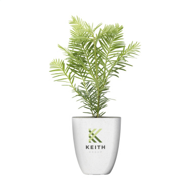 Logotrade advertising product picture of: Treemore Letterbox Trees Giant Sequoia
