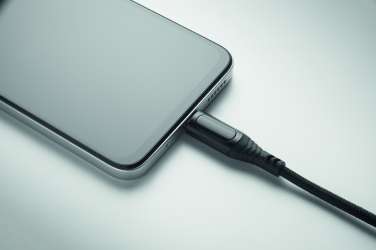 Logotrade promotional giveaway image of: 100W charging cable type-C