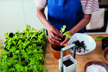 Logotrade advertising product picture of: Indoor garden with LED light