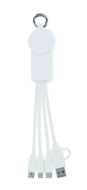 Logo trade corporate gifts image of: 2 in 1 charging cable type-C