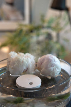 Logotrade promotional gifts photo of: Breevia RCS rplasic re-chargeable floating humidifier