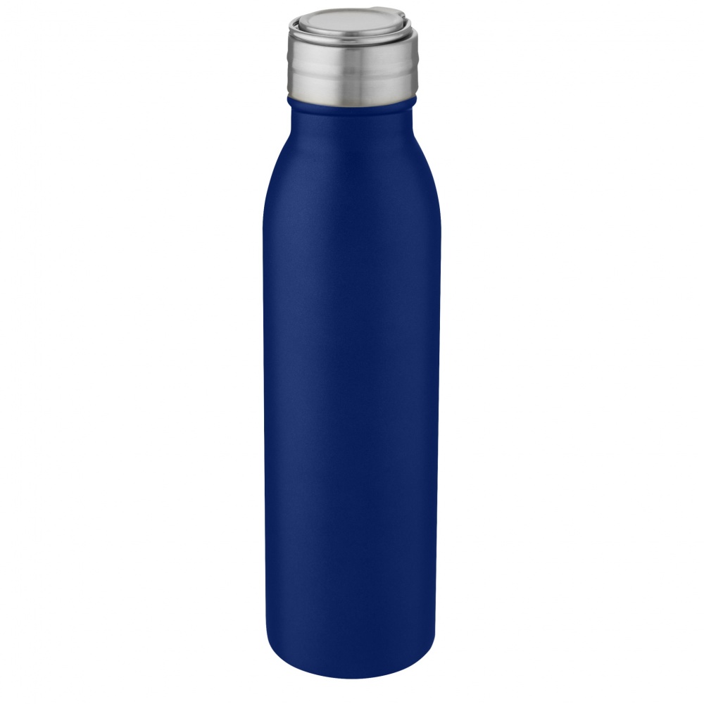 Logotrade firmakingid pilt: Harper 700 ml roostevabast terasest veepudel metallist aasaga