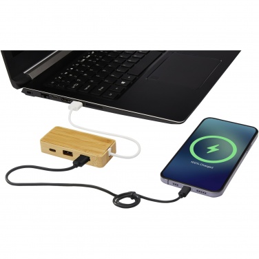 Logotrade firmakingi foto: Tapase bambusest USB-jaotur
