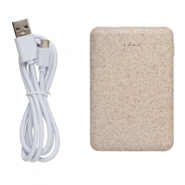 Logotrade ärikingituse foto: Nisukõrrega 5000 mAh taskuvõimsuspank