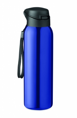Logotrade ärikingituse foto: Kaheseinaline pudel 580 ml