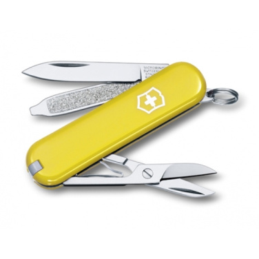 Logo trade reklaamkingi pilt: Taskunuga CLASSIC SD Victorinox