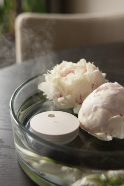 Logo trade ärikingitused foto: Breevia RCS plastikust laetav ujuv õhuniisutaja