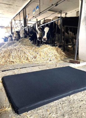 Logo trade mainostuotet tuotekuva: Desinfiointimatto 100x120x3cm 1370087