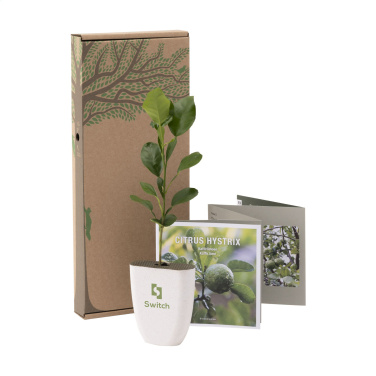 Logo trade mainostuotet tuotekuva: Treemore Letterbox Trees Kaffir Lemon