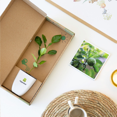 Logo trade liikelahjat tuotekuva: Treemore Letterbox Trees Kaffir Lemon