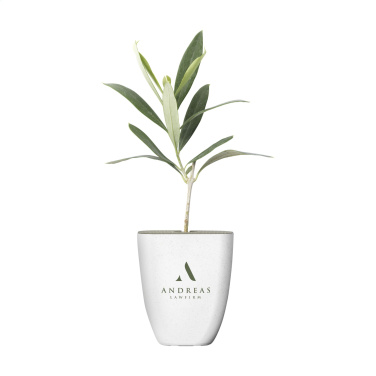 Logo trade mainoslahjat ja liikelahjat kuva: Treemore Letterbox Trees Olive