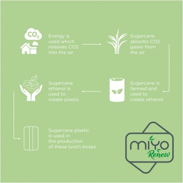 Logotrade verslo dovanos nuotrauka: MIYO Renew vieno sluoksnio priešpiečių dėžutė